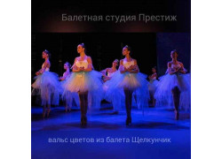 Балетная студия Престиж