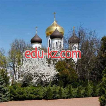 Православный храм Собор Богоматери Живоносный источник - на edubase.su в категории Православный храм