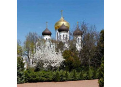 Собор Богоматери Живоносный источник