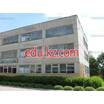 Общеобразовательная школа Коллегиум № 11 - на edubase.su в категории Общеобразовательная школа